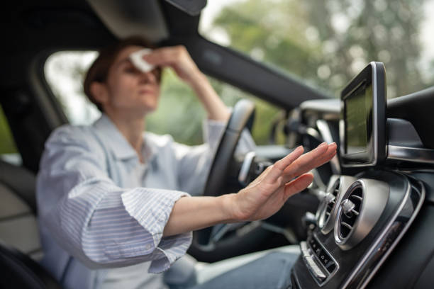 Best Affordable Air Conditioning Repair  in De Motte, IN